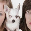 Somebody’s In The Doghouse Comes To UCB Theater 8/18