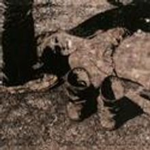 Jane Hammond Exhibit Set For Galerie Lelong 9/8