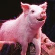 Cameron Mackintosh Produced BETTY BLUE EYES to Close September 24