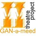 GAN-e-meed Addresses Work/Life Balance for Women in Theatre 9/12