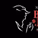 The Artist Series Presents DISNEY'S BEAUTY AND THE BEAST 11/8-13