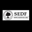 SEDF and Lee Cultural Council Present Inaugural Lee Idol 9/23-24