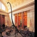 American Museum of Natural History Announces Adult Programs For Sept