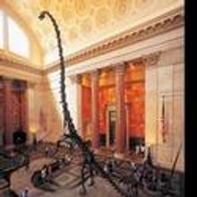 American Museum of Natural History Announces Adult Programs For Sept