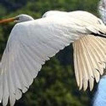 September Programs and Events Announced at Alley Pond Env Center 