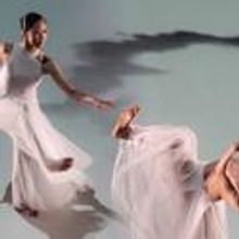 Cloud Gate Dance Theatre of Taiwan Returns To Chicago 10/28-29