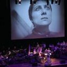 New Programs Added to White Light Festival