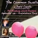 Provincetown Counter Productions To Present The Common Swallow