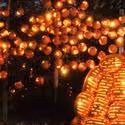 Sleepy Hollow Country's Four Biggest Halloween Experiences Expand