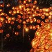 Sleepy Hollow Country's Four Biggest Halloween Experiences Expand 