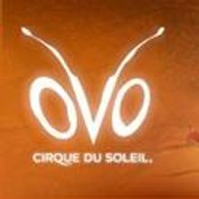 Cirque du Soleil Returns to the Santa Monica Pier With OVO 1/20/2012