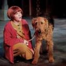 ANNIE To Play Holiday Encore in Aspen's Wheeler Opera House 12/16-23