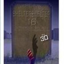 Shelterbelt Presents SHELTERSKELTER XVI, Opens 10/6