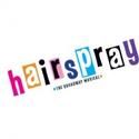 Warner Stage Company Announces Additional Auditions for HAIRSPRAY