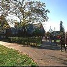 Portland Ovations Brings Asphalt Orchestra to October's First Friday Art Walk