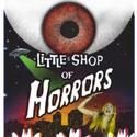 Phillip Jackson Smith & Emily McNamara Star in The Gallery Players' Little Shop