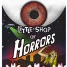 Phillip Jackson Smith & Emily McNamara Star in The Gallery Players' Little Shop