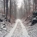 Robert Mann Gallery To Exhibit Jeff Brouws 10/27-12/10