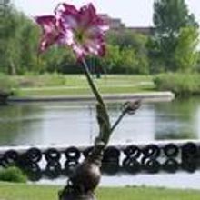 Northglenn Arts and Humanities Foundation Hosts Sculpture Dedication