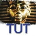 30 DAYS OF NYMF: Day 28 Tut