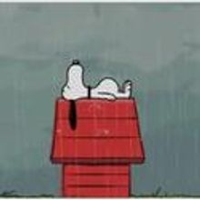 BATS Announces Upcoming Shows And Events