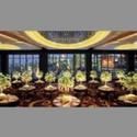 Mandarin Oriental Offers NY Holiday Events