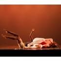 Galapagos Art Space Presents The Lara Wilson Dance Project 11/8