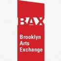 BAX/Brooklyn Arts Exchange Announces 2011/12 Season