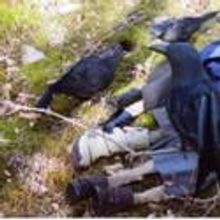 Dixon Place Presents THE SECRET DEATH OF PUPPETS 11/3-19