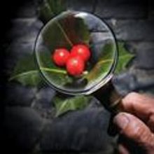 Artists Rep Presents Sherlock Holmes and the Case of the Christmas Carol