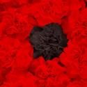 Lazarus Theatre Company Presents DON CARLOS November 1-26