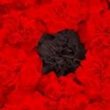 Lazarus Theatre Company Presents DON CARLOS November 1-26