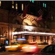 Yale in NY Opens Season With THE BEAR