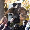 SI Zoo Announces The Return Of Raptors