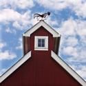 Westport Country Playhouse Sponsors Holiday Memories Writing Challenge