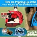 NYC Hosts First Ever Pet POP-UP Adoption Shop