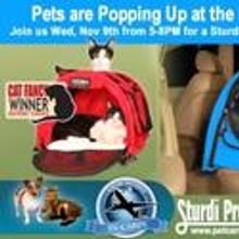 NYC Hosts First Ever Pet POP-UP Adoption Shop