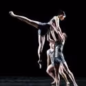 The Hartt School Presents Hartt Dances 11/18-20