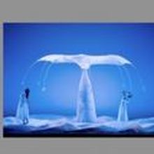 MOMIX: BOTANICA Comes To The Morrison Center 1/13/2012