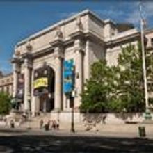 AMNH Scientists Participate In Discovery Of 11 New Bee Species In The US