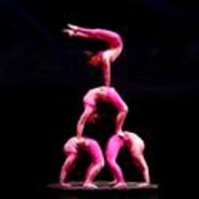 VTA Presents Amazing Golden Dragon Acrobats 12/3-4