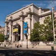 AMNH Announces 2011 Mead Award Winner
