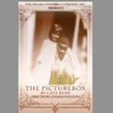 Negro Ensemble Company Presents THE PICTURE BOX