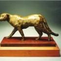 James Paulsen Receives 2011/2012 People’s Choice Award