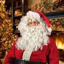 A Musical Christmas Card Opens at YLT
