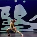 Dance Center Presents Light Moves
