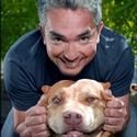 Cesar Millan, The Dog Whisperer, Comes to Hershey Theatre 3/17