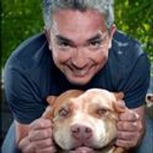 Cesar Millan, The Dog Whisperer, Comes to Hershey Theatre 3/17