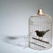 Northlight Theatre Presents Black Pearl Sings! 1/13-2/19