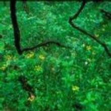 Jon Scott Anderson, Derrick Breidenthal to Debut at Missouri Bank Crossroads